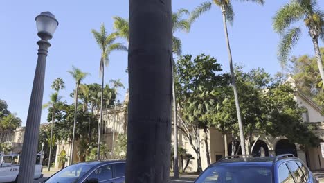 Balboa-park-street-near-Casa-del-Prado-theatre-in-San-Diego-with-people-and-palm-trees-on-a-sunny-day