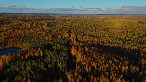 Flying-over-an-endless-expanse-of-forest-in-Sipoonkorpi-National-Park,-Finland