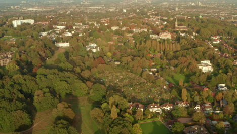 Aerial-shot-over-Fitzroy-allotment-garden-London
