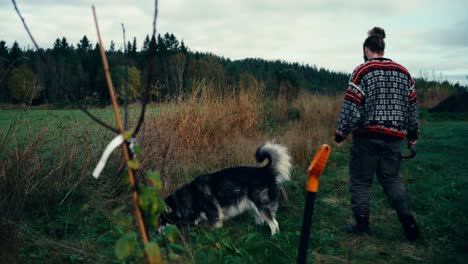 A-Man-Accompanied-by-His-Dog-Manually-Cutting-Dry-Grass-in-Indre-Fosen,-Norway---Static-Shot