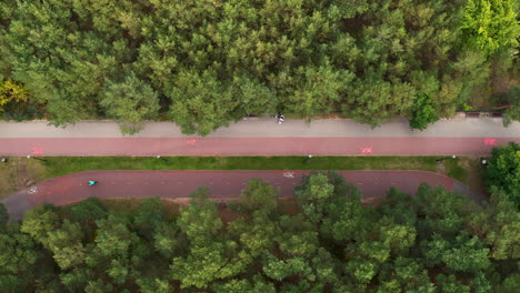 Aerial-top-down-shot-of-walkway-and-bikeway-with-cyclist-in-forest-trees-in-Jelitkowo,-Poland