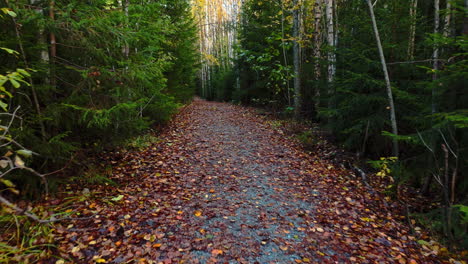 A-hiking-trail-in-Sipoonkorpi-National-Park-in-Finland