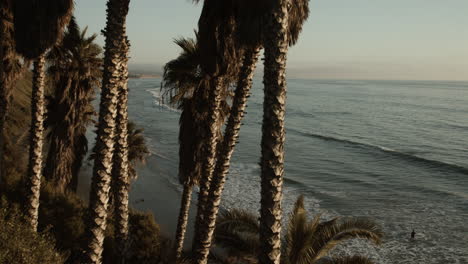 Ein-Blick-Auf-Den-Von-Palmen-Umrahmten-Swamis-Beach-In-Encinitas,-Kalifornien