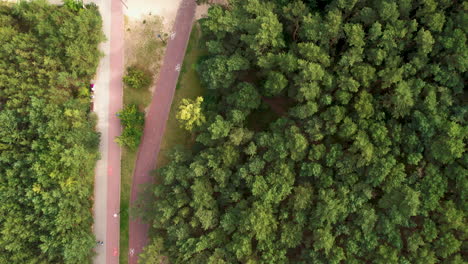 Aerial-birds-eye-shot-of-path-for-pedestrian-and-bike-lane-surrounded-by-dense-forest-in-summer