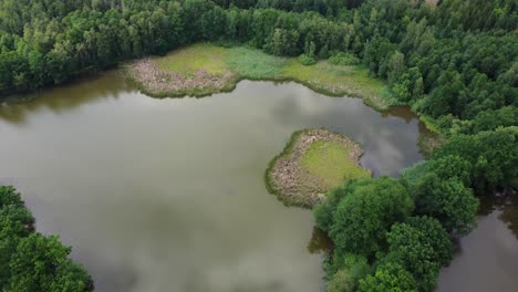 Aerial-view-of-a-pond,-protected-area,-bird-sanctuary,-island-of-reeds