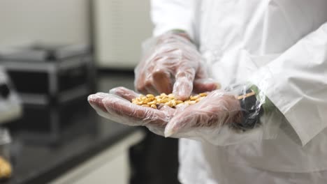 Peanut-butter-manufacturing-process,-wearing-safety-gloves-and-testing-peanut-kernels-in-export-laboratory