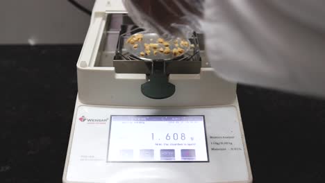 Peanut-butter-manufacturing-process,-front-view-of-exporter-checking-the-moisture-content-of-peanut-kernels