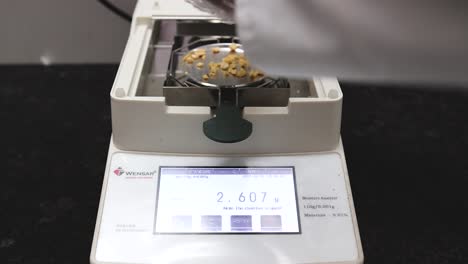 Testing-peanut-kernels-in-moisture-analyzer-machine-in-peanut-butter-manufacturing-process,-export-laboratory