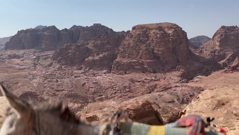 Looking-over-a-donkey-at-Petra,-Jordan-above-the-tombs