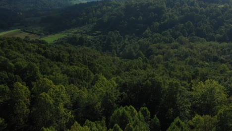 Green-forest-of-white-oak-in-West-Virginia-Pan-Up-by-drone-in-USA-with-clear-blue-sky