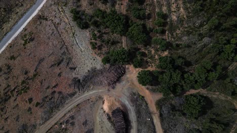 Piles-of-cut-trees-stored-near-road-for-logging-trucks,-aerial-top-down-view