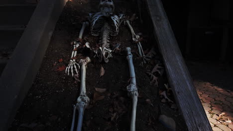 Slow-reveal-of-a-Halloween-skeleton-lying-in-the-dirt-and-shadows