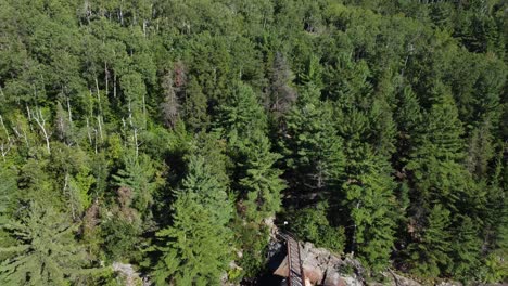 Aerial-reveals-Canadian-forest,-suspension-bridge,-cascading-waterfalls