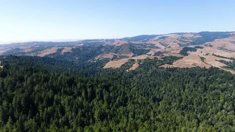 Aerial-video-of-a-breathtaking-green-forest-on-the-hills-of-Santa-Cruz-Mountains-in-California