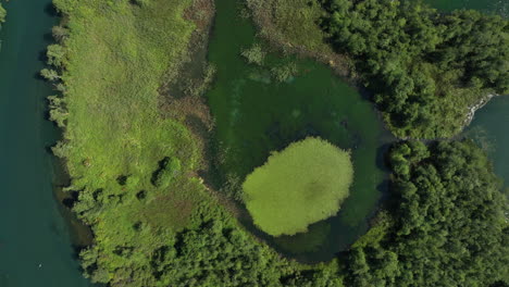 Aerial-view-of-an-artificial-lake-overgrown-with-flora