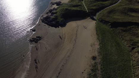 Aerial-view-descending-to-golden-Ynys-Llanddwyn-beach-with-tourists-walking-alongside-shimmering-ocean-coastline