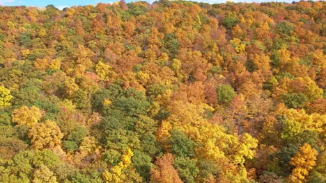 Aerial-view-of-fall-foliage-on-Keuka-Lake's-West-Bluff-in-the-Finger-Lakes
