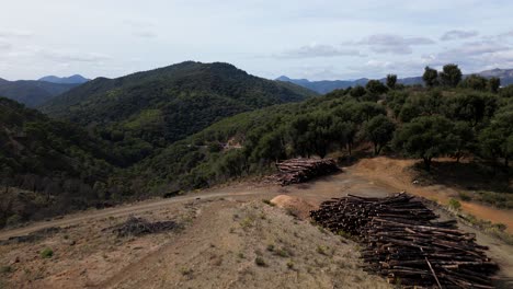 Logging-piles-in-mountains-of-Spain,-aerial-fly-backward-view