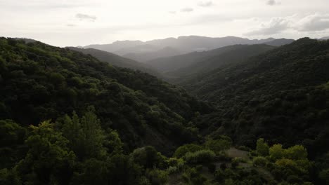 Morgennebel-Bedeckt-Gebirgstal-Und-Wald,-Drohnenansicht-Aus-Der-Luft