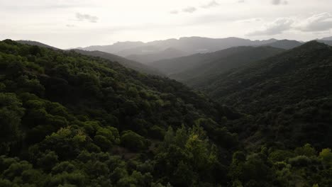 Filmische-Berglandschaft-Mit-Morgennebel,-Luftaufnahme