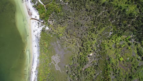 Medium-aerial-of-scientists-studying-climate-change-Madagascar