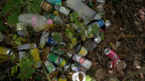 Plastic-bottles-and-beer-tins-fly-tipped-in-rural-woodland-undergrowth