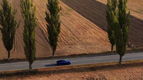 Drone-tracking-wide-shot-blue-car-driving-betweeng-plain-fields,-along-a-sunlit-paved-road,-surrounded-by-green-trees-on-a-sunny-day
