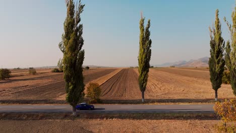Drone-tracking-shot-blue-car-driving-along-a-sunlit-paved-road,-surrounded-by-green-trees-on-a-sunny-day