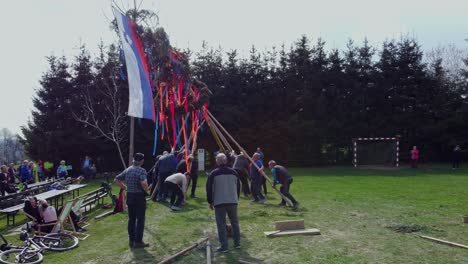 Bau-Von-Mlaj-–-Aufstellen-Des-Maibaums,-Traditionelle-Tänze,-Holzpfahl,-Grün,-Bunte-Bänder-–-Gerader-Baumstamm