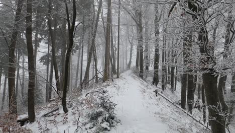 Walking-on-a-narrow-pathway-through-snowy-woods-on-a-foggy-day