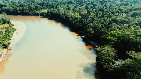 Großer-Amazonas-Und-Der-Dschungel