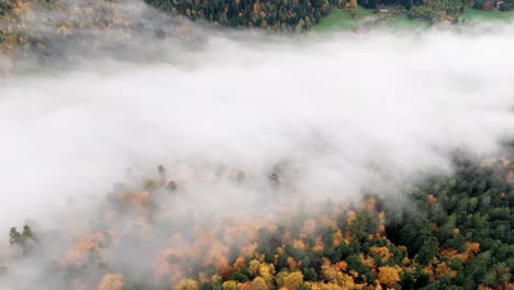 Aerial-view-over-vibrant-automnal-mountain-forest-with-a-sea-of-clouds,-4K