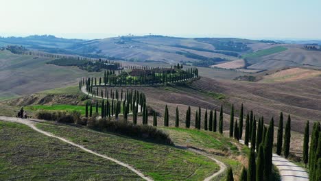 Marvelous-aerial-top-view-flight-Tuscany-Cypresses-avenue-rural-alley-Italy