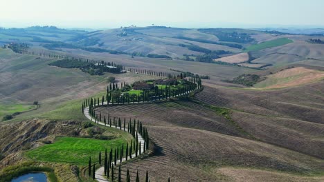 Spectacular-aerial-top-view-flight-Tuscany-Cypresses-avenue-rural-alley-Italy