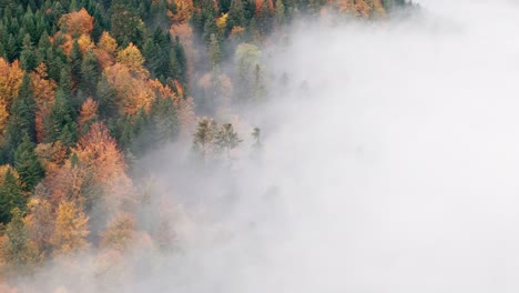 Luftaufnahme,-Die-Durch-Dicke-Wolken-über-Den-Lebendigen-Herbstlichen-Bergwald-Fliegt,-4k