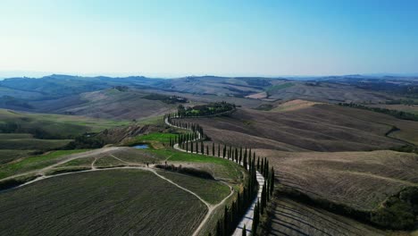 Beautiful-aerial-top-view-flight-Tuscany-Cypresses-avenue-rural-alley-Italy