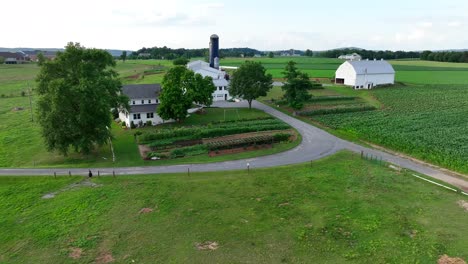 Amish-farm-in-Lancaster,-Pennsylvania
