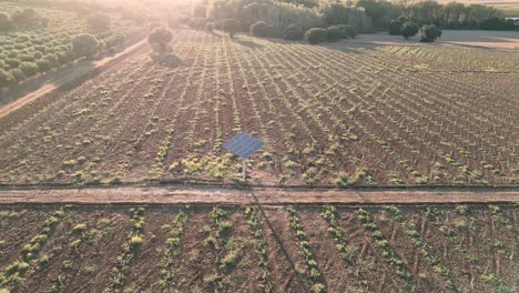 Solarpanel-Auf-Einem-Landwirtschaftlichen-Feld-Bei-Sonnenuntergang