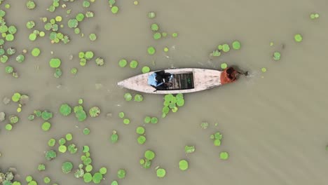 Birds-Eye-View-Of-Person-Using-Wooden-Paddle-On-Front-Of-Small-Boat-Sailing-Past-Floating-Green-Lily-Pads-On-Botar-Lake