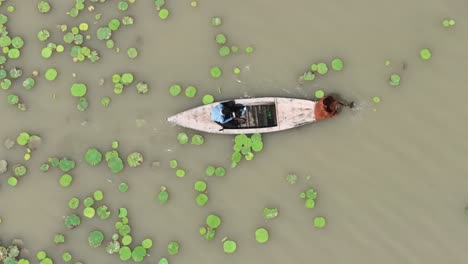 Vista-Aérea-De-La-Persona-Que-Utiliza-Paletas-De-Madera-En-La-Parte-Delantera-De-Un-Pequeño-Barco-Navegando-Por-Nenúfares-Verdes-Flotantes-En-El-Lago-Botar