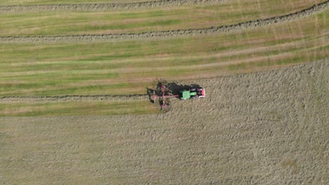 Top-down-aerial-tractor-with-hay-tedder-creating-rows-to-collect,-agriculture