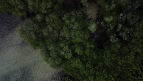 Luftaufnahmen-Von-Mangroven-In-Nusa-Lembogann,-Bali,-Indonesien-In-Der-Abenddämmerung