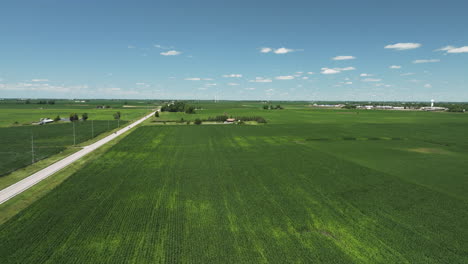 Inmensidad-De-Tierras-Agrícolas-Con-Campos-De-Maíz-En-Iowa,-Estados-Unidos
