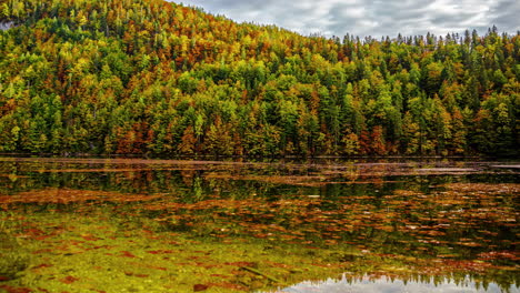 Herbstliche-Gelassenheit:-Zeitraffer-Des-Herbstlaubs-An-Einem-Ruhigen-Teich-In-Österreich