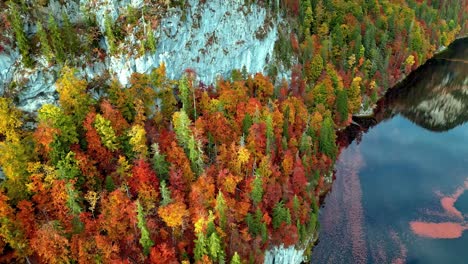 Bird's-eye-view-of-the-colorful-forests-and-cliffs-on-the-shore-of-Lake-Toplitz,-Austria