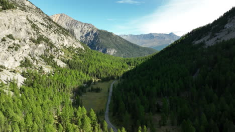Aerial-top-shot-over-a-road-with-fir-forest-french-Alps-sunny-day