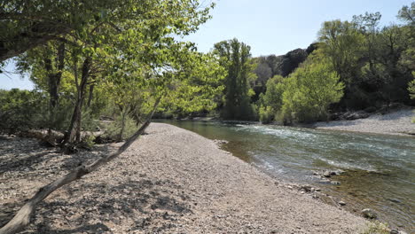 Calm-river-Herault-little-rocky-beach-with-trees-spring