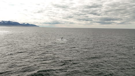 Aerial-slow-motion-in-Iceland-humpback-whale-in-the-distance-cold-ocean-water