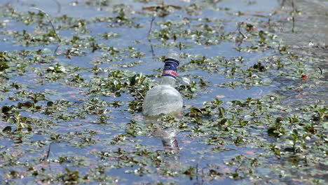 Bote-De-Basura-De-Vidrio-Flotando-En-Un-Estanque-Día-Soleado-Montpellier