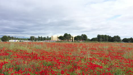 field-of-red-poppies-with-concert-arena-in-background-aerial-view-Montpellier